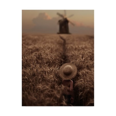 Trademark Fine Art David Dubnitskiy 'The Boy In The Field' Canvas
